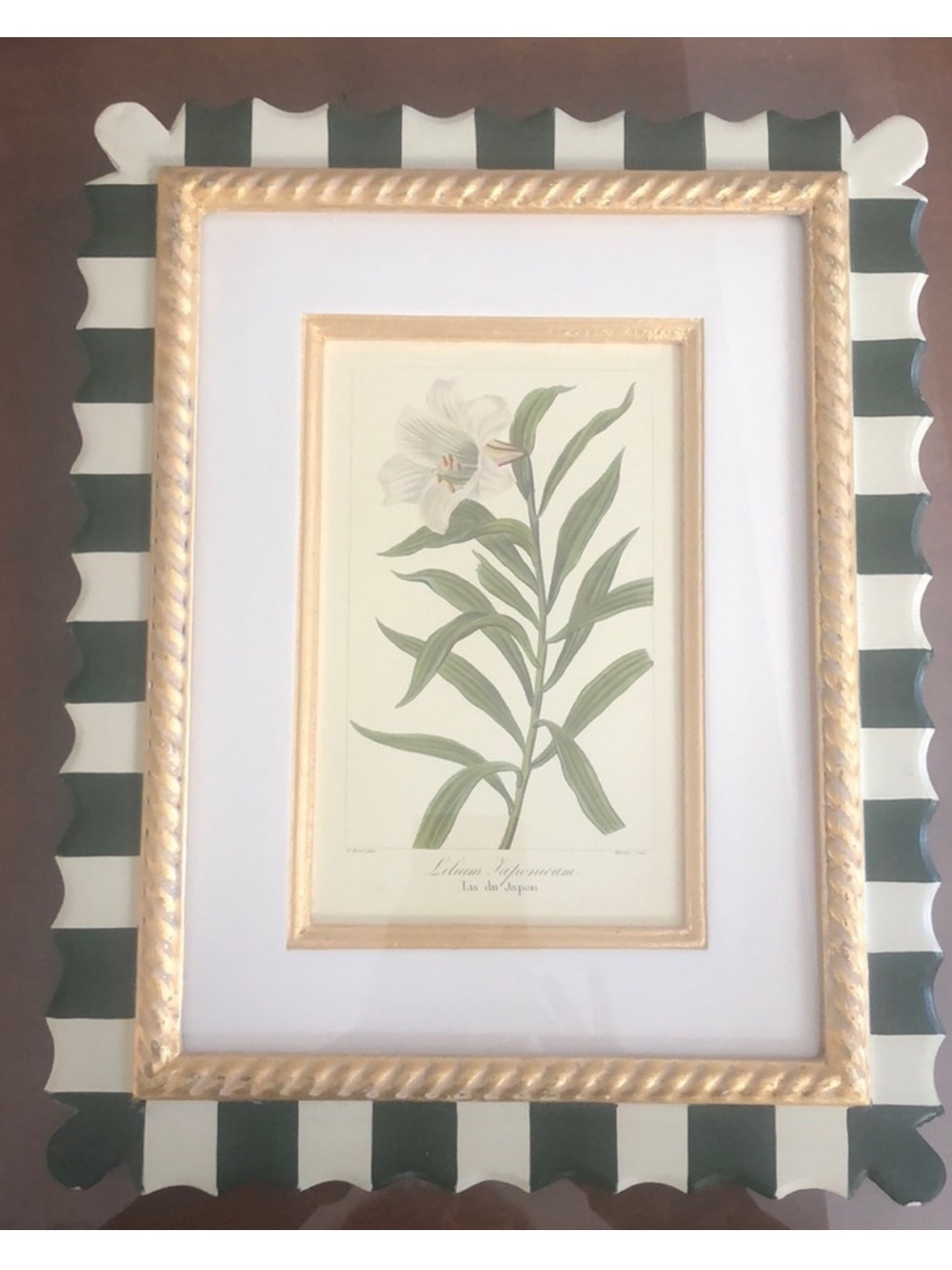 Trowbridge Botanicsl Prints Set of Four